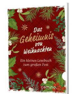 Das Geheimnis von Weihnachten