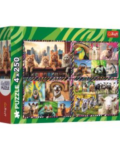 Puzzle-Set 'Lustige Tiere' 4 x 250 Teile