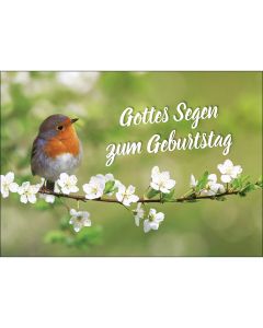 Postkarte 'Gottes Segen zum Geburtstag'