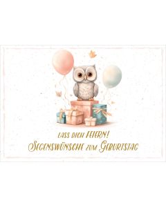 Postkarte 'Lass dich Feiern! Segenswünsche zum Geburtstag'  12 x      Motiv: Eule