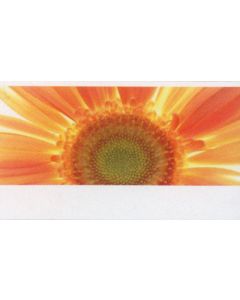 Creative-Card 'Gerbera' - Postkarte